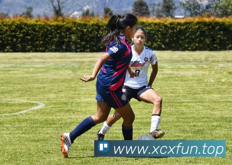 九游官网注册账号入口APP 封面图